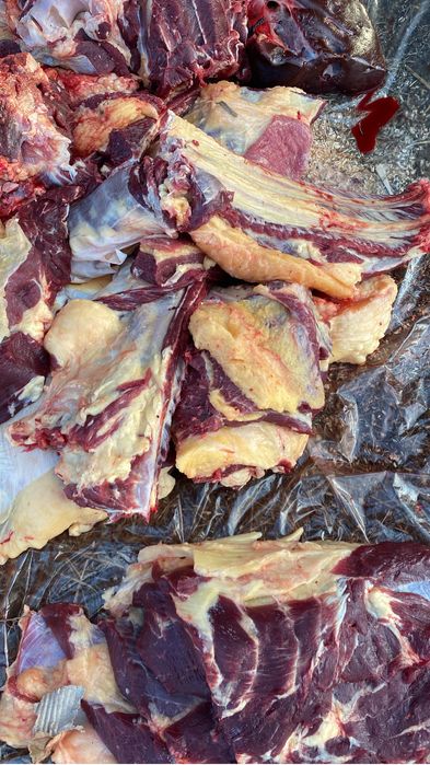 Телка по частам