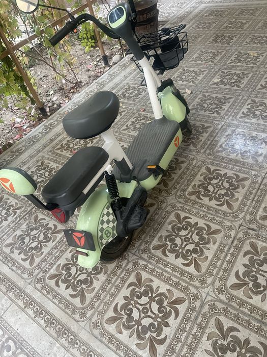 Elektra squter sotiladi