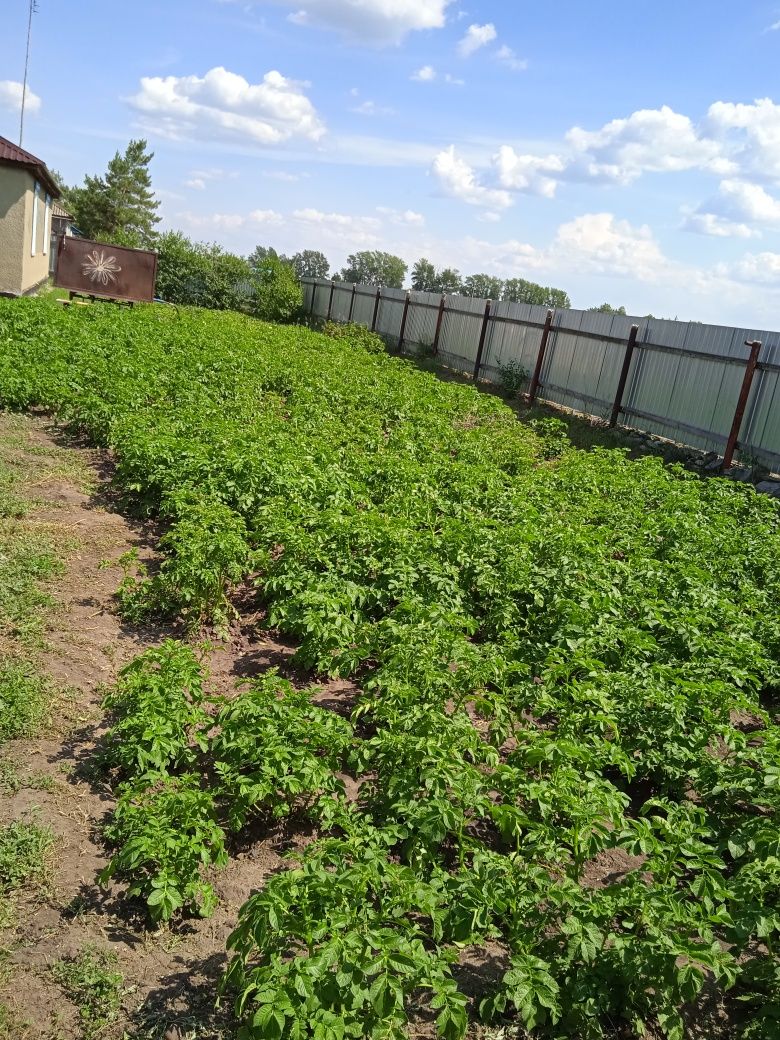 Продам частный дом (особняк) п.Владимировка