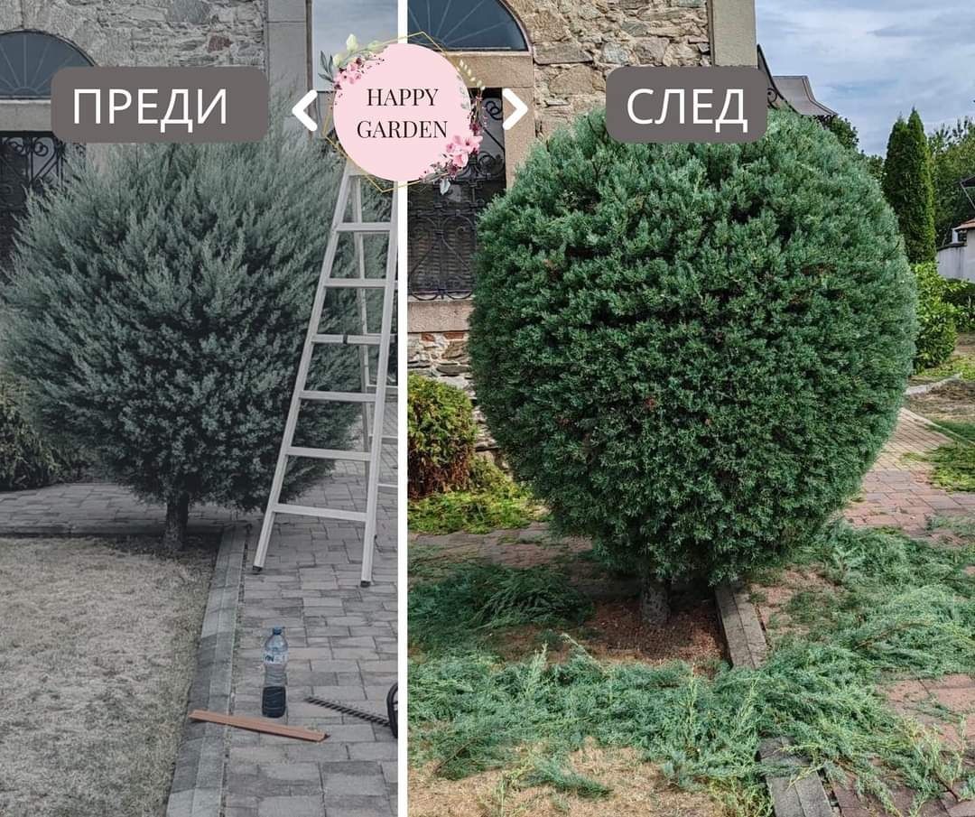 Градинарски услуги