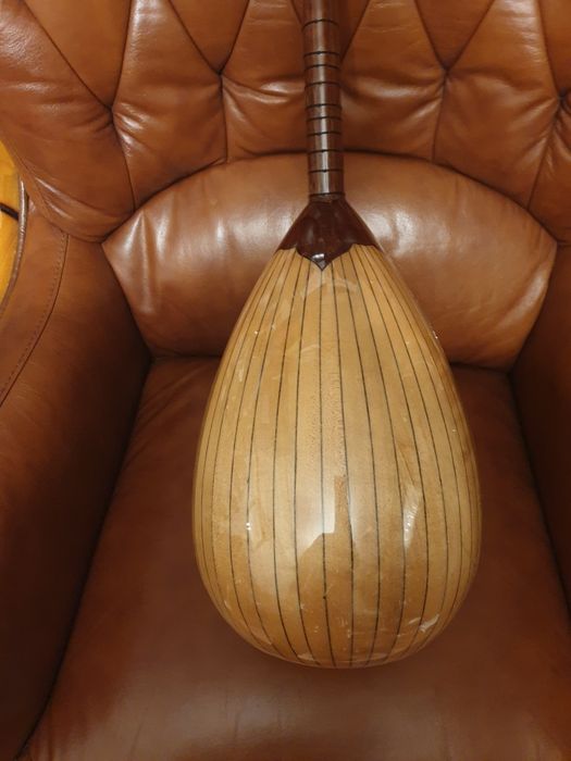 Electro Baglama Saz  /chitara turceasca