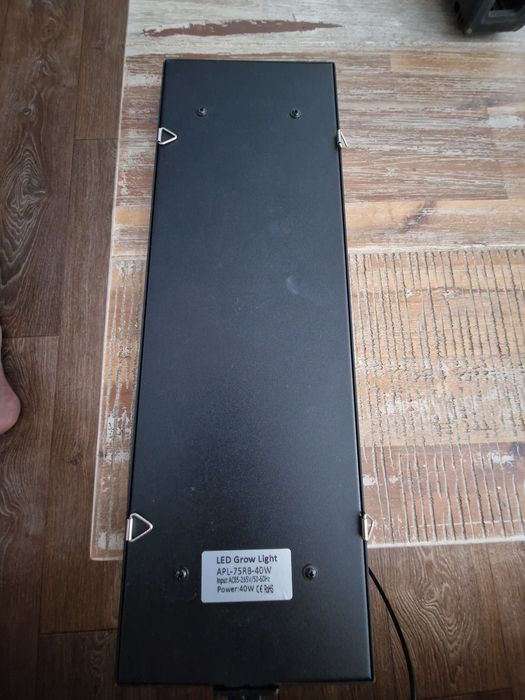 Lumina creştere Plante