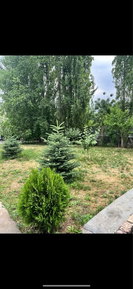 Сдаем дачу для семейных на шикарной природе, Бурчмулла