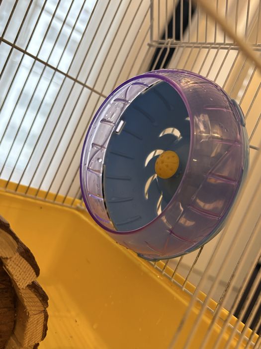 vand cusca/casuta hamster