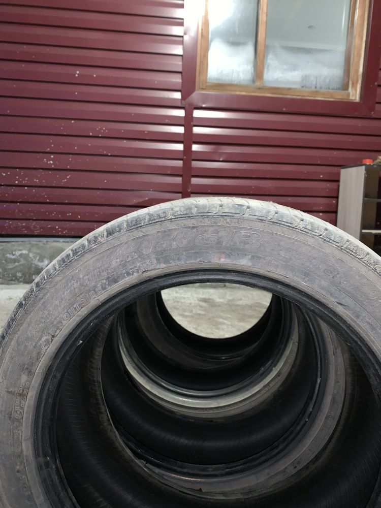 Шины r17 225/50