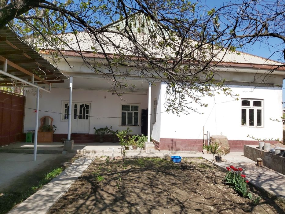 Ҳовли уй катта бозор маҳалласида сотилади