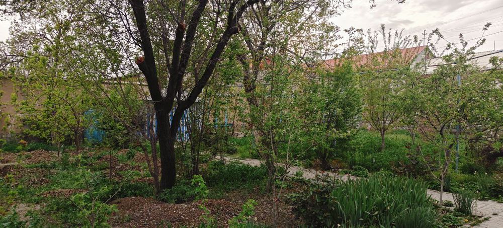 Продам дом 38м2 с участком 8.5 соток