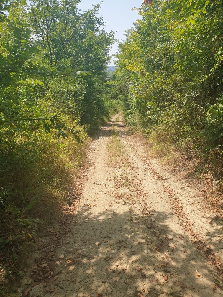 Teren Valea Mare la 2 km Pitești