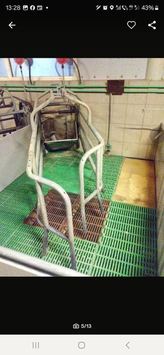 Boxe de fatare suine echipamente ferme zootehnice