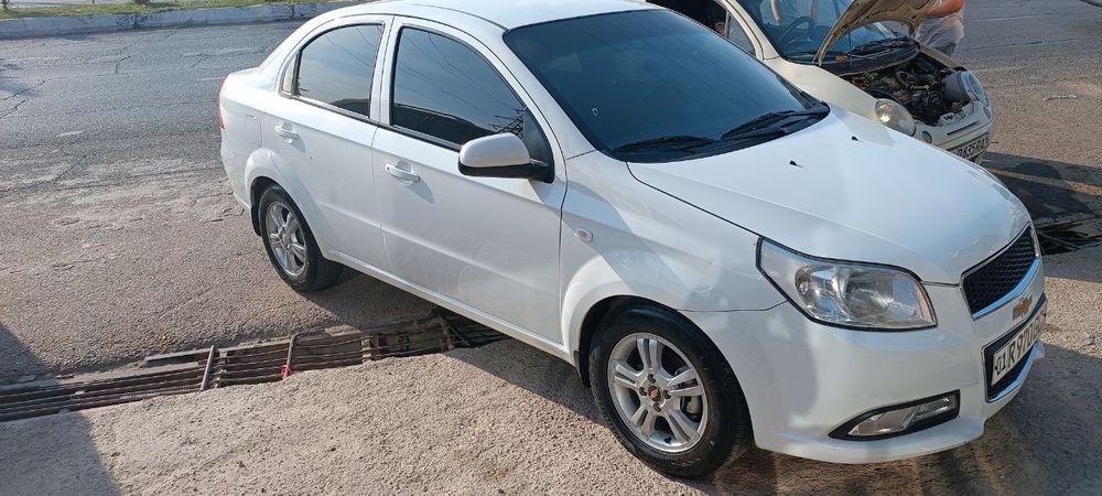 Nexia-3 Top toza kraska 2021 avtomat