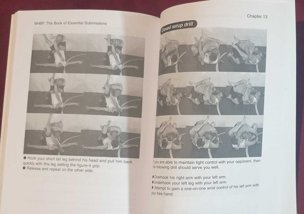 No Holds Barred Fighting. The Book of Essential Submissions