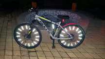 Bicicleta Bulls Raptor 29