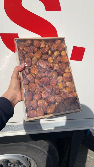 Финики Суккари из Саудии
