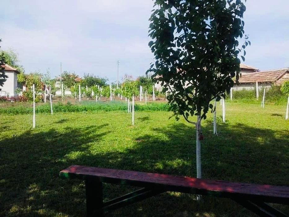 Продава се Къща в Генерал Тошево - 120 кв.м за 595 €/кв.м - Снимка #6
