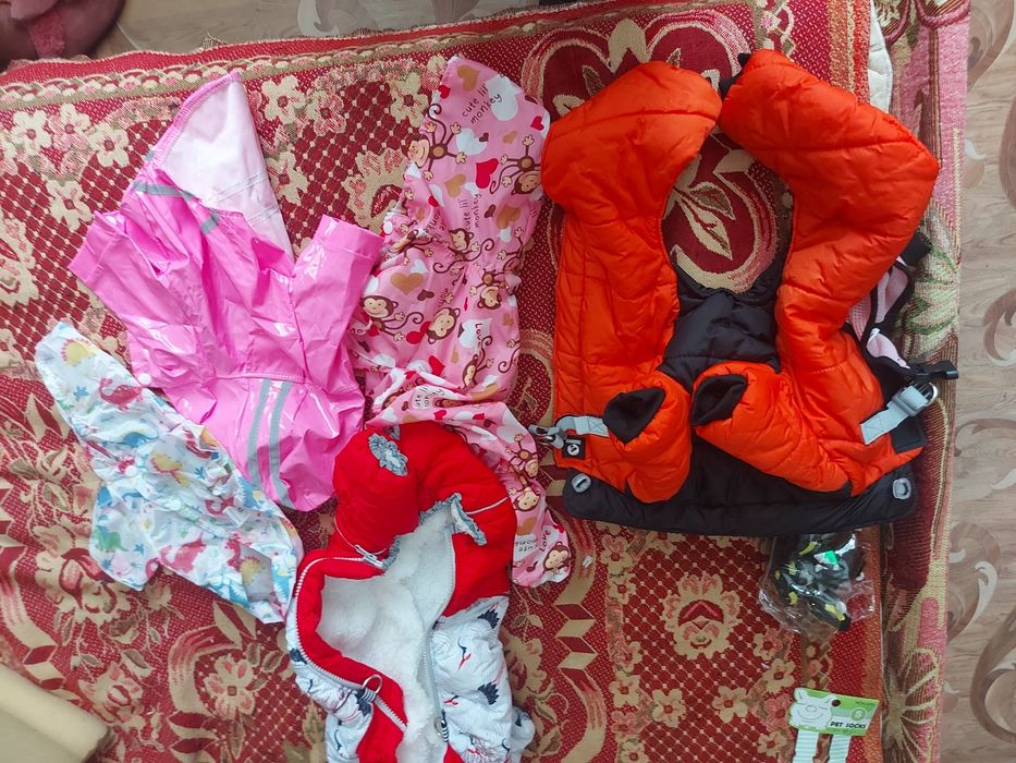 Костюмы для маленьких собак