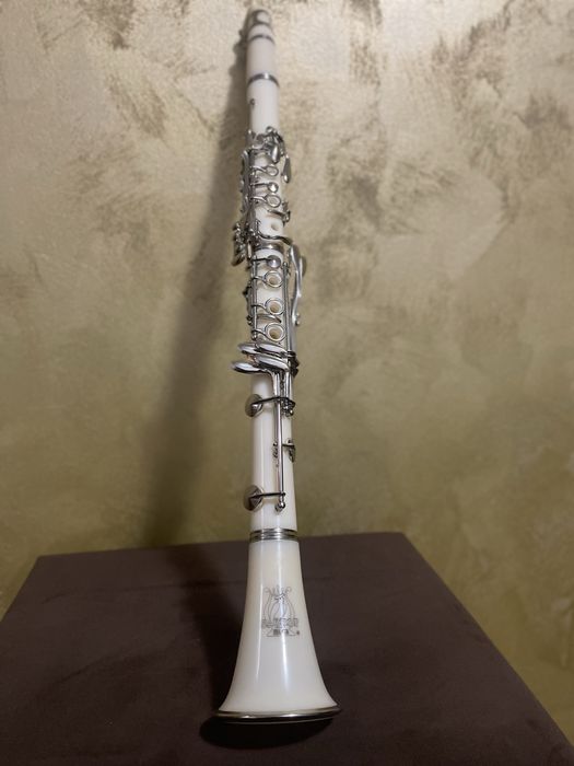 Clarinet Parrot complet – stare excelentă, 600 lei negociabil