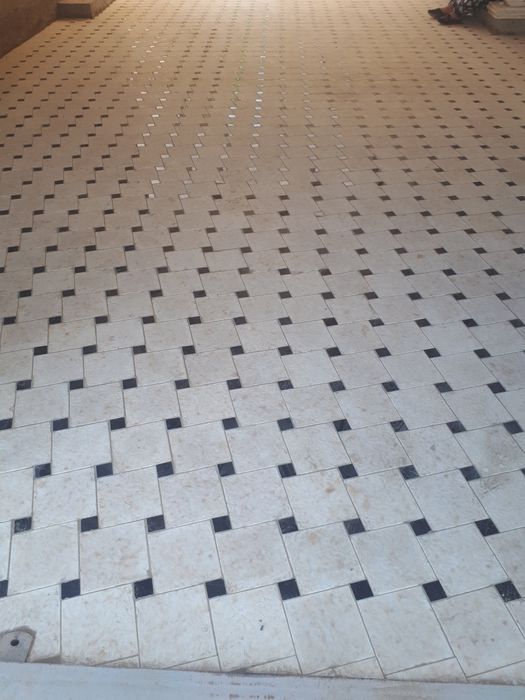 Бурчатка терамиз