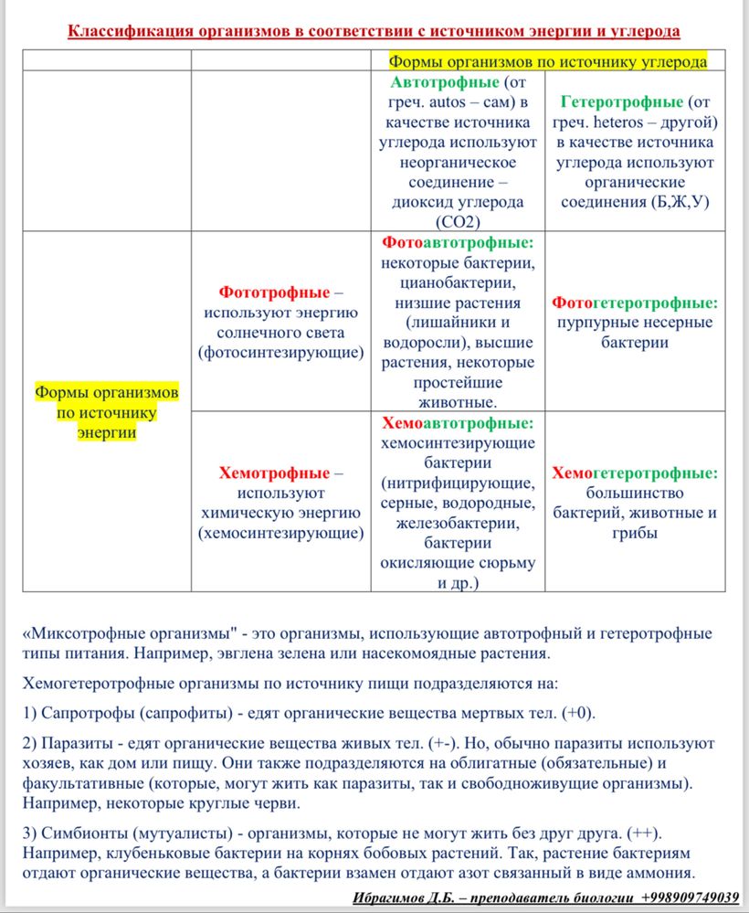Репетитор по биологии