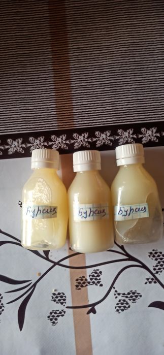 Bõrsu yoĝi,borsiq yog'i Борсик, ёг'и (Тозаси)