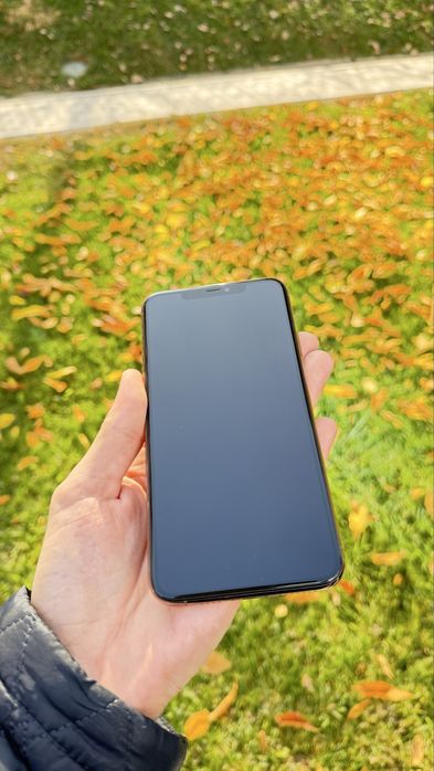 Iphone 11 pro max dual sim