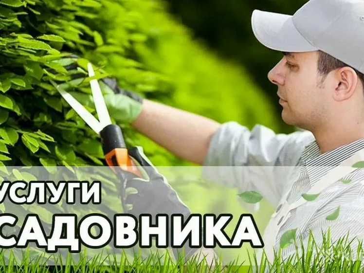 Услуги садовника
