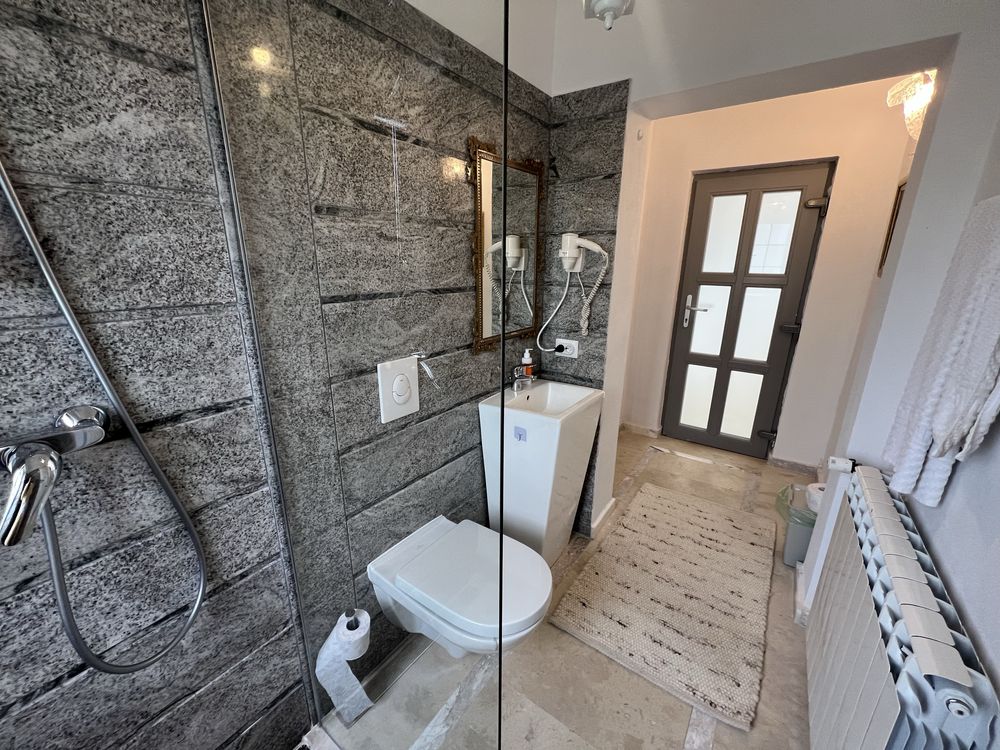 Vand superba casa in Bacia , teren 2000 mp