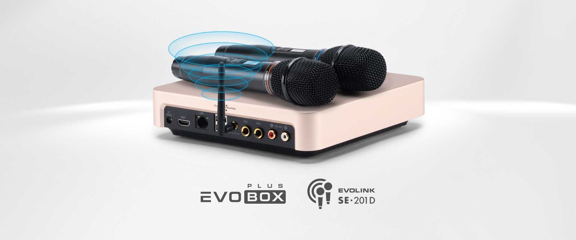 Профессиональная караоке-система Evolution Evobox Plus