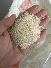Сечка рисовая, рис дробленный чистый