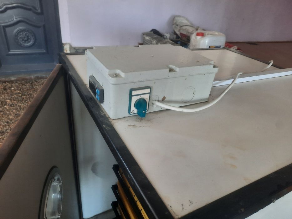 Инкубатор 500+ та тухум кетади. INKUBATOR