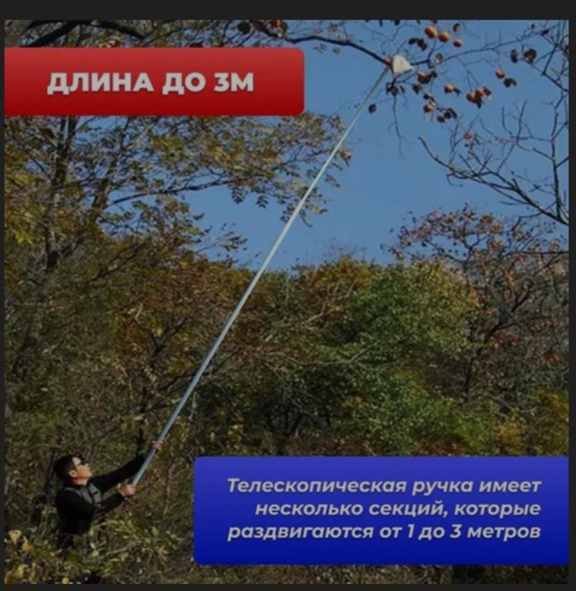 Фруктовый плодосборник