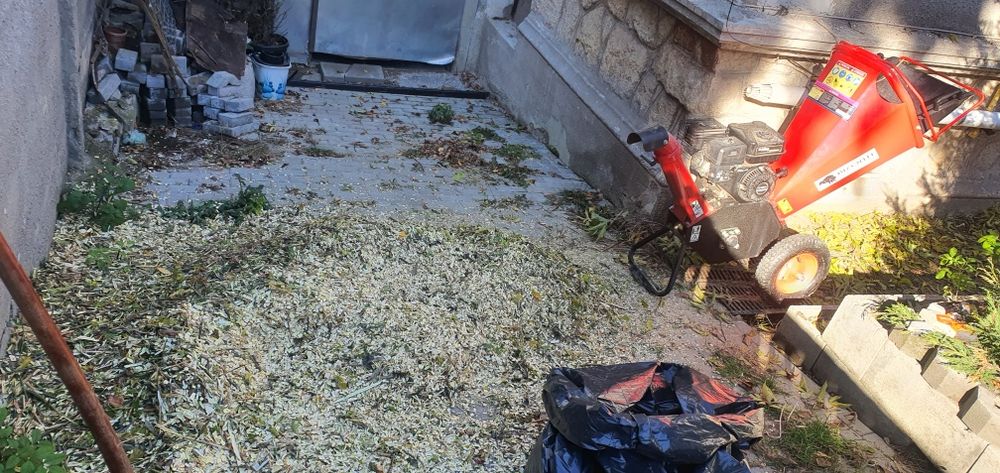 Tocare, tocat crengi, tăieri, toaletare pomi, copaci, defrişare teren