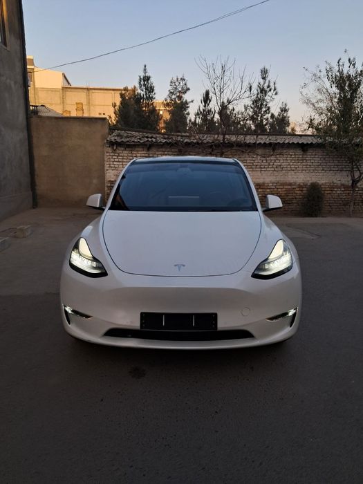 Tesla model y dual motor