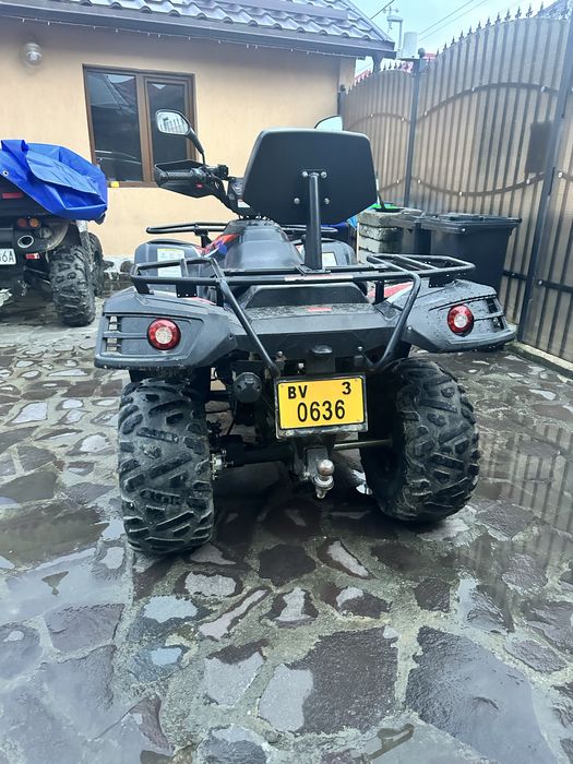 Atv Linhai Dragonfy 300