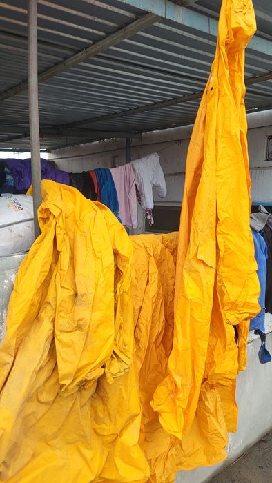 Дождевики целые!