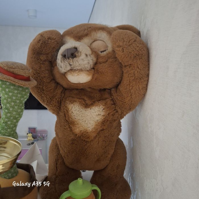 Мишка говорящий .