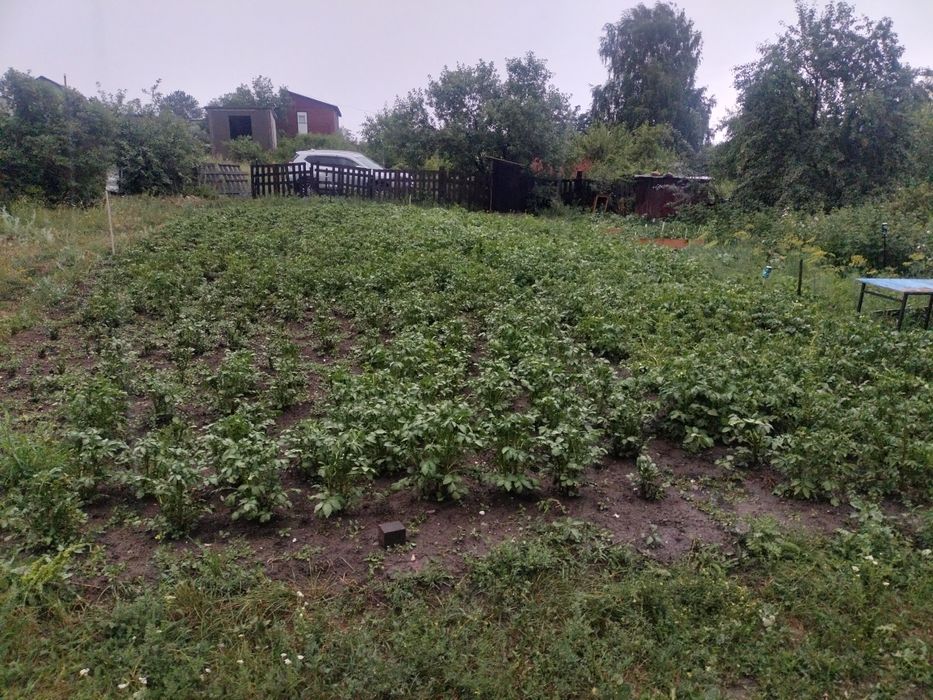 Срочно продам дачу в районе куленовка