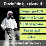 Dezinfeksiya Клоп таракан бурга Дезенфекция дизенфекция дезинфекция