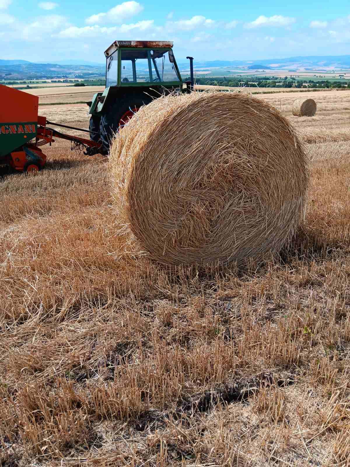 Ролонни бали слама