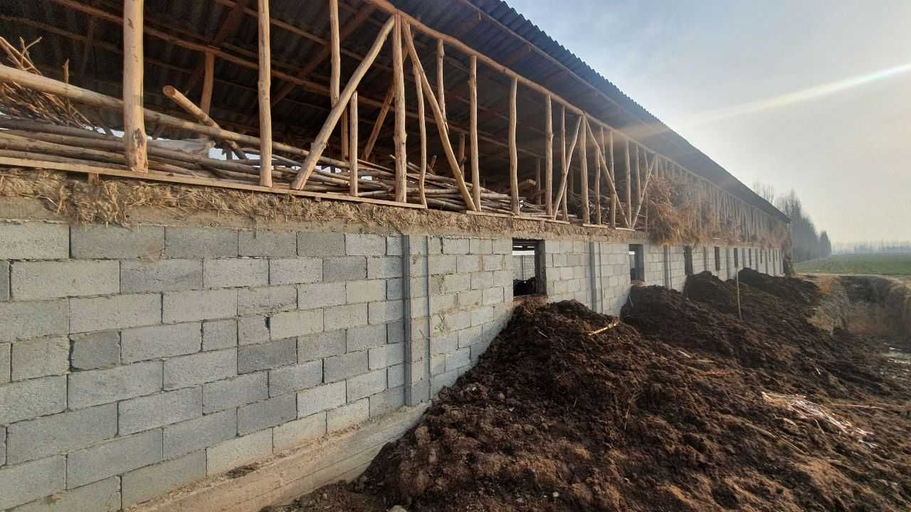 Dala shiyponi chorva va issiqxona noturar bino-inshoatlari sotilmoqda