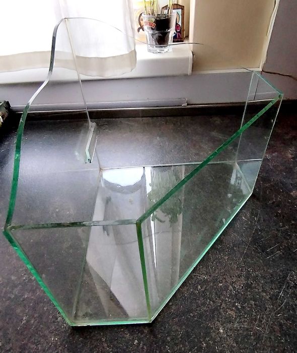 Терариум/аквариум здрав