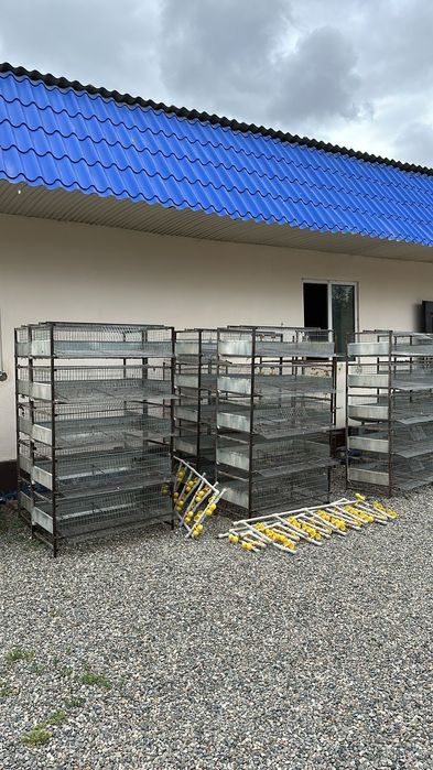 Продам оборудование для перепелки. Оборудование брудера, сетки, полки