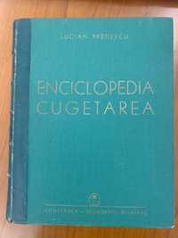 Lucian Predescu Enciclopedia Cugetarea