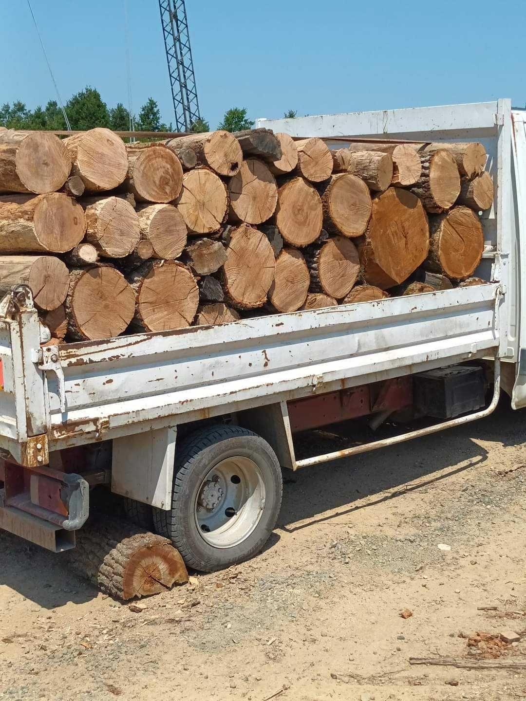 Lemne de foc  de  esenta tare