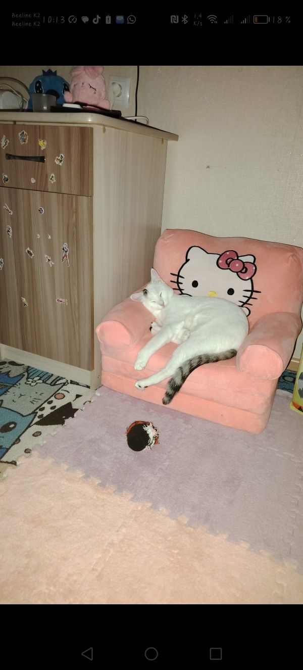 Отдам кота ему 6месяцев в любящие добрые ручки.