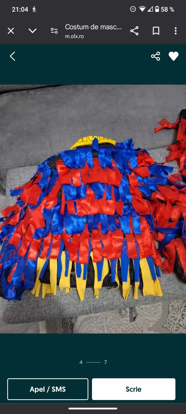 Costum mascat anul nou