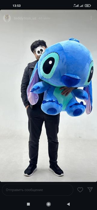 СТИЧ Stich Недаволный Кот
