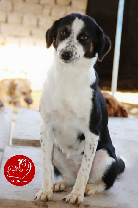 Подари Терезе семью