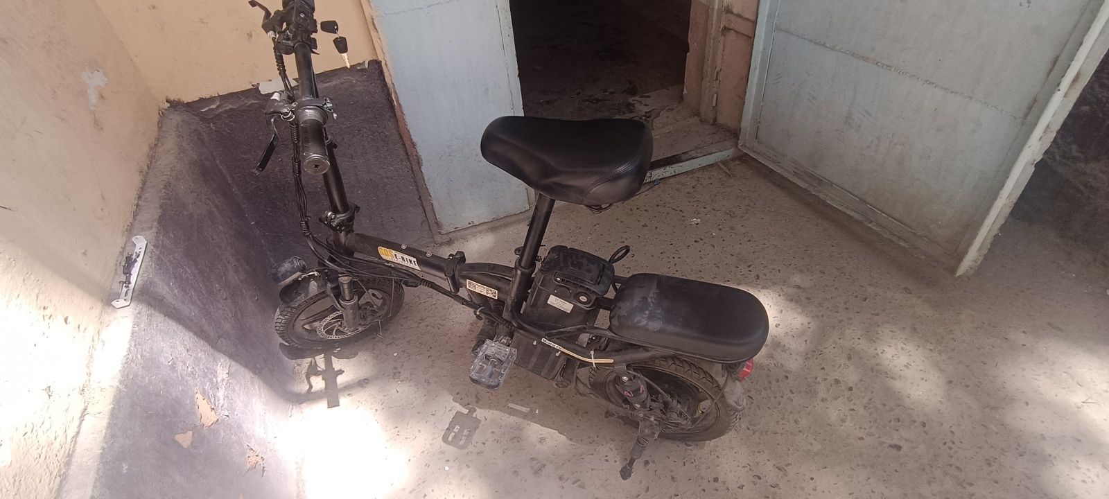 Electronic velocipede