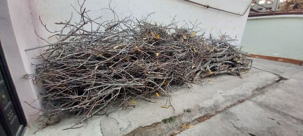 Продам дрова от орехового дерева и остальное