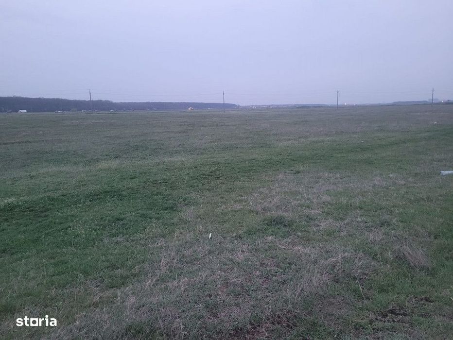 Vand doua terenuri, 5000 si 7500 m², in Pipera, aproape de cartierul